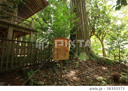 須佐神社より 須佐神社より 36303373