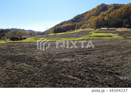 開田高原晩秋の田園風景 開田高原晩秋の田園風景 36304237
