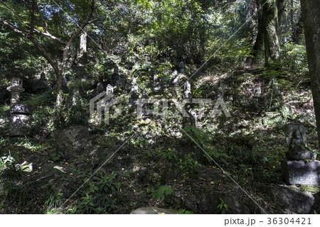 日輪寺の石体観音三十三基 36304421