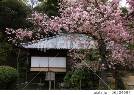 聚遠亭より 聚遠亭より 36304697