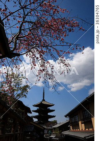八坂の塔 八坂の塔 36304765