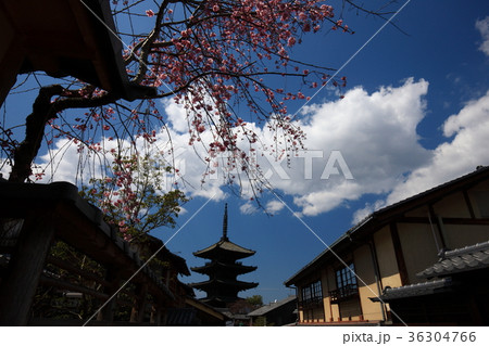 八坂の塔 八坂の塔 36304766