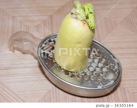 大根おろし 大根おろし 36305164