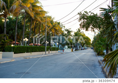The historic and popular center and Duval Street The historic and popular center and Duval Street 36309474