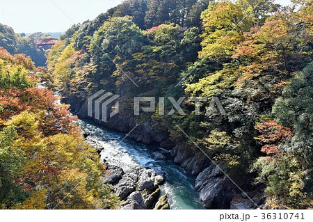 わたらせ渓谷　 36310741