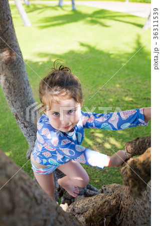 Tree Climbing Hawaii 36311539