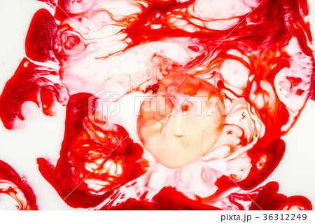 牛乳と界面活性剤と色素の反応模様(赤色) 牛乳と界面活性剤と色素の反応模様(赤色) 36312249