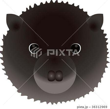 マスクラット 36312969