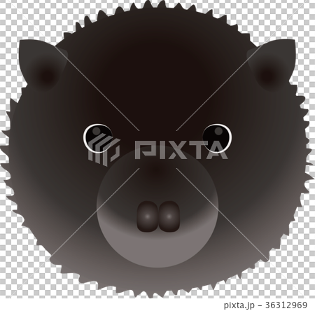 マスクラット 36312969