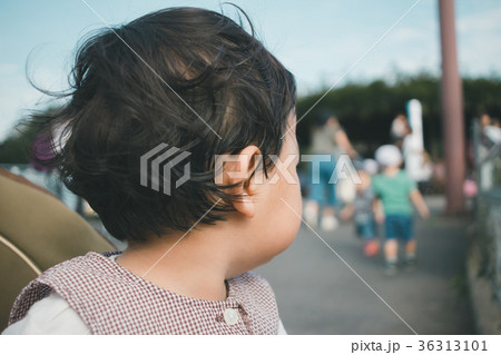 2 years old 2 years old 36313101