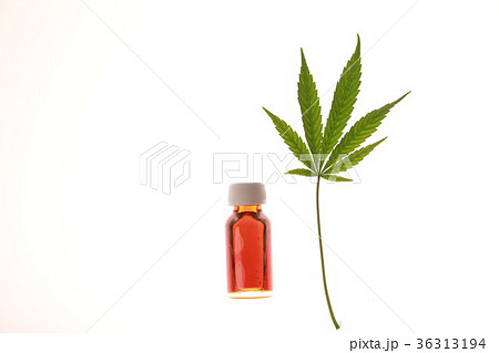 cannabis and hemp 36313194