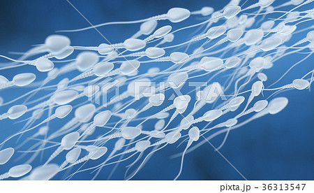 Human sperm flow 36313547