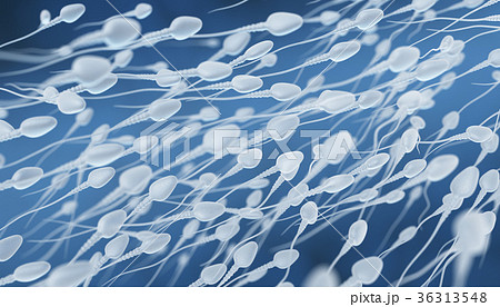 Human sperm flow Human sperm flow 36313548