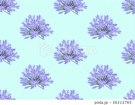 Blue Purple Agapanthus on Light Blue Background Blue Purple Agapanthus on Light Blue Background 36313765