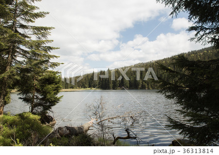 Landscape scene at the small Arbersee in Bavaria 36313814