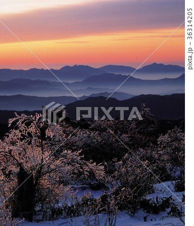 木 山 風景 36314205