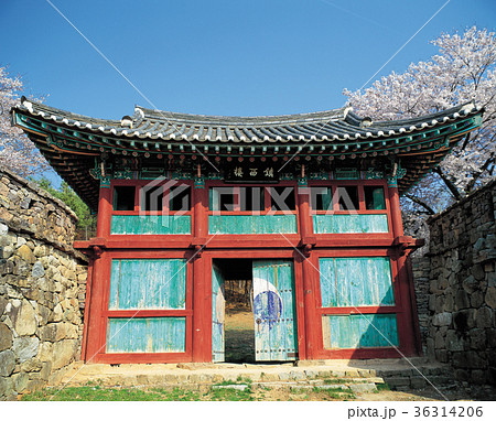 建築 古建築 高敞郡 36314206