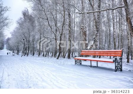 Park bench and trees covered by heavy snow 36314223