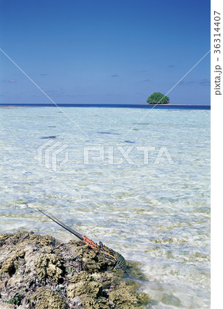 海 島 風景 36314407