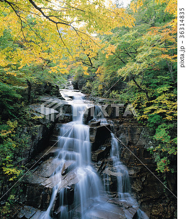 滝 風景 秋 36314835