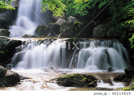 滝 風景 江原道 36314839