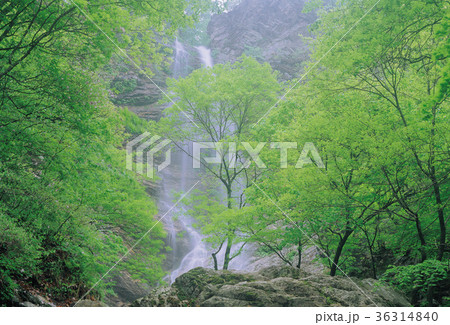 木 滝 風景 36314840
