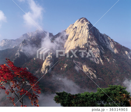 山 風景 秋 36314903