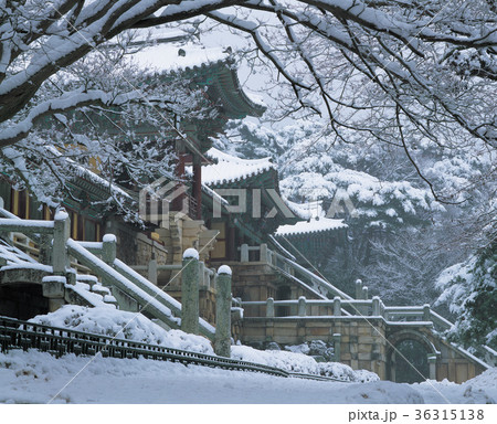 雪景色 風景 木の枝 36315138