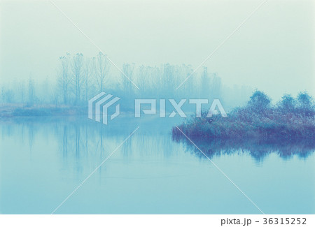 霧 風景 湖 36315252