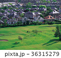 ゴルフ場 芝生 住宅 36315279