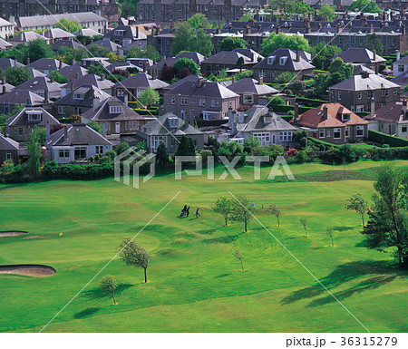 ゴルフ場 芝生 住宅 36315279