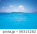 雲 海 島 36315282