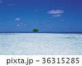 海 島 風景 36315285