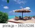 海 椅子 いす 36315286
