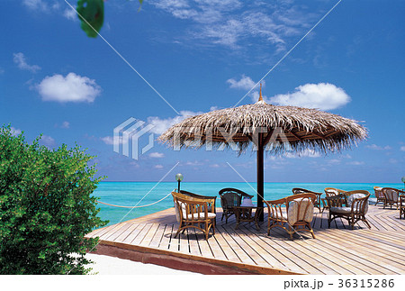 海 椅子 いす 36315286