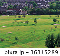 ゴルフ場 芝生 建築 36315289