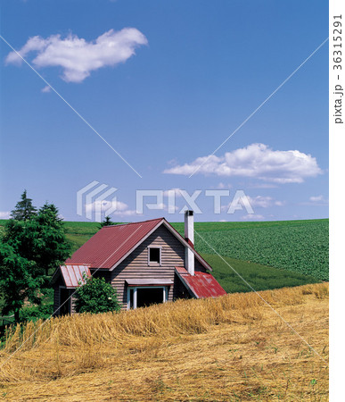雲 田畑 風景 36315291