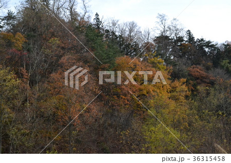 初冬の弘前郊外の風景 初冬の弘前郊外の風景 36315458