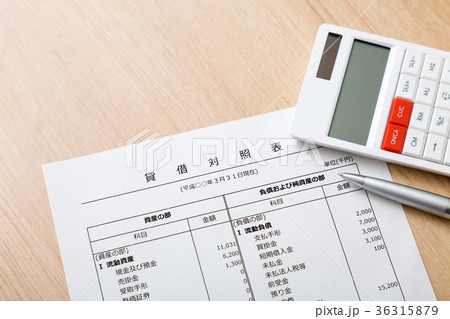 ビジネス資料 ビジネス資料 36315879