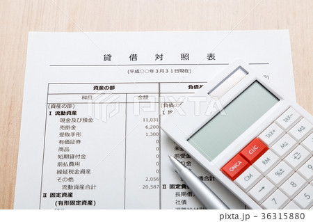 ビジネス資料 ビジネス資料 36315880
