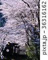桜とＳＬ 36316162