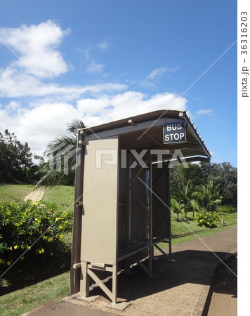 モーリシャスのバス停　その② 36316203