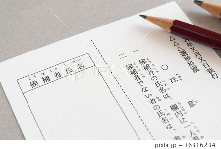 選挙　投票　投票用紙 36316234