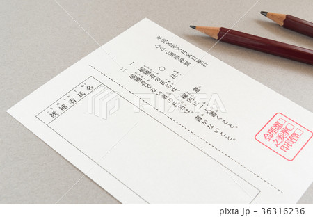 選挙　投票　投票用紙 36316236