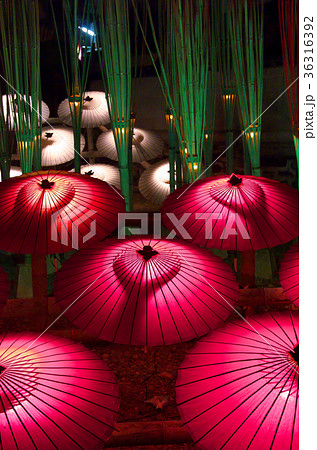 山鹿灯籠浪漫 36316392