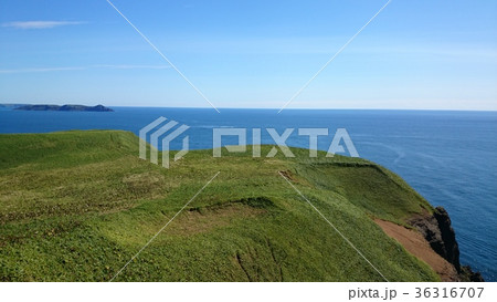 尻羽岬から青い海へ 尻羽岬から青い海へ 36316707