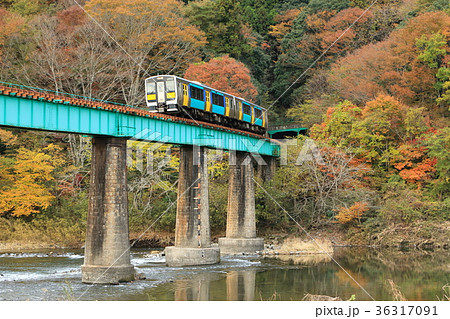水郡線 紅葉した木々と鉄橋を渡る列車 の写真素材