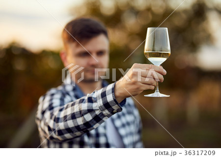 Man holds a glass of white wine Man holds a glass of white wine 36317209