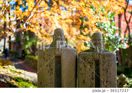 長安寺、箱根、仙石原、五百羅漢、石仏、羅漢 36317237