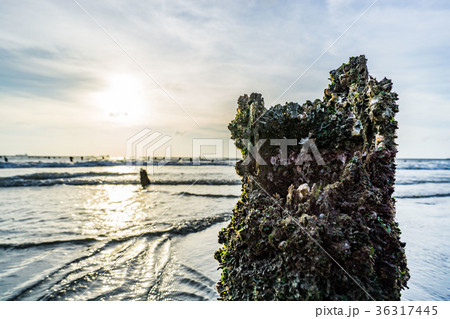 台湾 雲林 空想 36317445